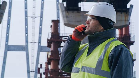 louis berger group|WSP Sells Louis Berger Services.